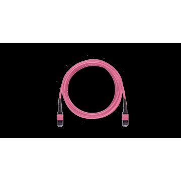 NMF-PC12M4PAC-1MTPF-1MTPF-010