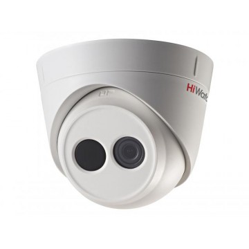 DS-I113 (4 mm)